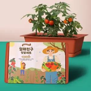 홈파밍 열매 미니 텃밭 만들기 키트 방울토마토 오이 당근 키우기 세트