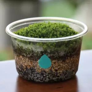 키우기쉬운 식물 이끼 화분 흙 모음 키트거실인테리어 실내 미니 사무실 소형 집들이선물 에서키우기쉬운