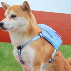 강아지 가방 하네스 산책 유치원 리드줄 슬링백 팩강아지 백팩 가매는 슬링 포대기 고양이