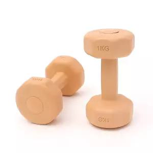 여성용 예쁜 핑크 덤벨 육각아령 1kg 2개세트헬스용품 유산소운동 근력 요가소품 코어 가벼운 필라테스 아