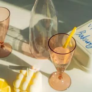 휴대용 플라스틱 피크닉 샴페인잔 캠핑용 와인잔 세트