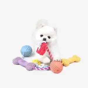 패리스독 60번 로프 플레잉 라텍스 토이 4ea애견장난감 강아지 놀이용 반려견