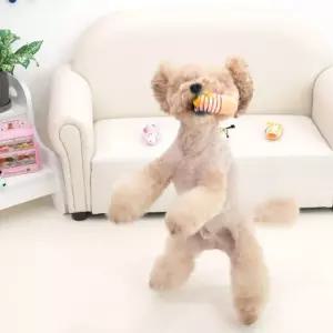 패리스독 24번 흥미 유발 토이2 1팩 단위애견 인형 강아지 삑삑이 로프 장난감