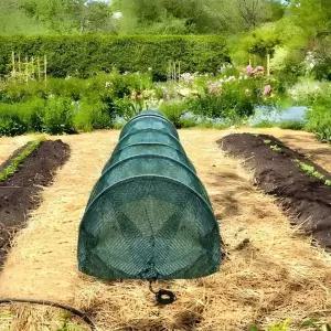 방충망 하우스 접이식 터널 텃밭 3m DD-13094옥상 용비닐 이동식 미니 관리 소형