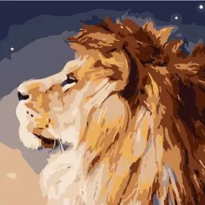 하모니아트 DIY 유화그리기 세트 20x20 사자페인팅 그리기 DIY명화그리기 그림그리기 DIY키트 취미생활 아