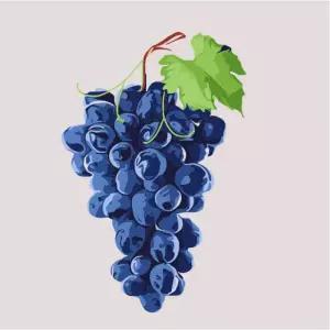 하모니아트 DIY 유화그리기 세트 20x20 포도페인팅 그리기 DIY명화그리기 그림그리기 DIY키트 취미생활 아