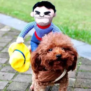 카우보이의상 할로윈 강아지 애견 재킷 코트 드레스 애견옷 재밌는