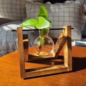 bns 레트로 수경재배 원목 거치 유리 화병 1구