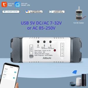 2채널 Tuya 스마트 Wifi 전동 스위치 모듈 DC 12V 24V 32V 110V 220V 인칭 릴레이 Alexa Google Alice RF43