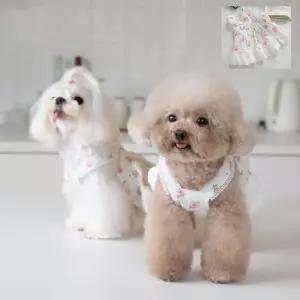 러블리 로즈 원피스 애견 치마 레이스 산책옷강아지패션티 예쁜 가을셔츠 강아지봄 봄옷 셔츠 올인원