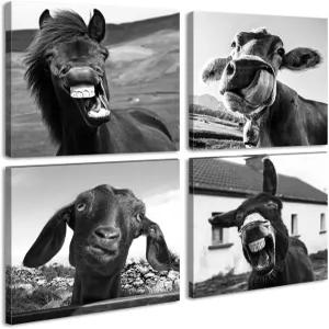 흑백 벽 아트 동물 장식 말 당나귀 양 소 캔버스 사진 남성 침실 사무실 농가 장식용 재미있는 포스터를