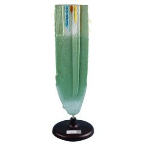 식물뿌리모형 종단면 생물학 인체 분리 용품 플랜트 FK 교육 분리형 모델 학생 스탠드