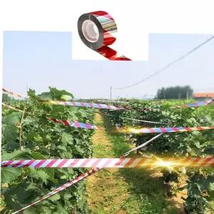 테이프 조류퇴치 농장 키밍 반사 과수원 새기 50m