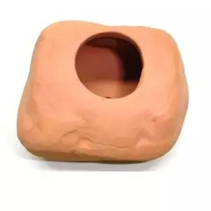 [셀러에이드]1구형 산란상 작은어류