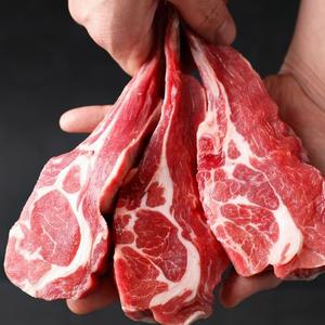 호주 청정 양고기 프렌치랙 캠핑용 양꼬치