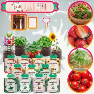 식물재배키트 씨앗키우기세트 허브 방토 바질 딸기 고수 등 11종