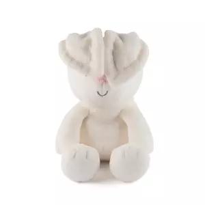 배를 누르면 쫑긋 귀세우는 베이비토끼 유아교구 봉재 육아템 초점