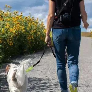 [반려] 핸즈프리 리드줄