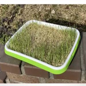 새싹 식물 재배기 자동 발아 키우기 채소 모종판 가정용 스마트팜 실내 텃밭용