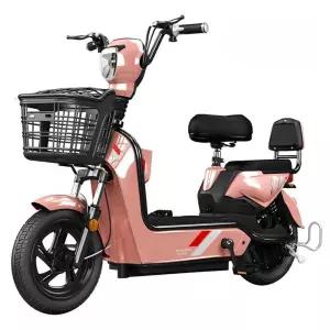 전기스쿠터 인승 삼륜 배달용 전동 출퇴근스쿠터 세발