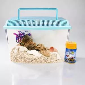 체리새우 키우기 생이새우 관상용새우 애완새우 바다생물 세트