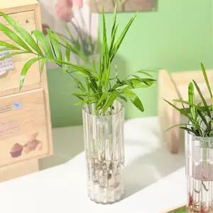 수경식물 키우기 미니 투명화병 만들기 식물관찰 키트 5개 재료 체험활동 그리기