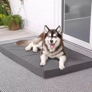 고양이매트 사계절 펫 매트 초특대형 반려동물 미끄럼방지 S100