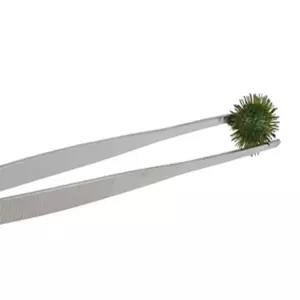 모어 파충류핀셋 스테인레스핀셋