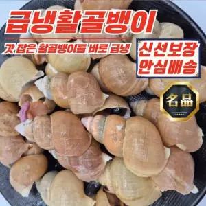 [푸디픽] 동해안 자연산 급냉 활골뱅이 800g x 2팩