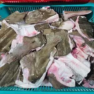 [셀러허브]군산 생물 홍어 서더리 1.5kg 참 홍어 탕 거리 군산 홍어 서덜 국산 홍어 매운탕 (S46631168)