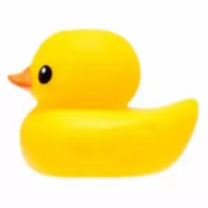 물놀이오리 목욕탕장난감 물놀이장난감