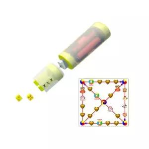원심력 윷놀이와 주사위 만들고 놀이하기