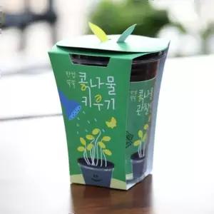 모종 새싹키트 시루 관찰일지 재배 한컵쑥쑥 콩나물키우기