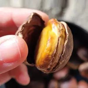 공주 칼집밤 2kg 대 25년 햇밤 공주밤 공주햇밤 칼집 알밤 공주밤 공주알밤 햇알밤 생밤 칼집단밤 공주단밤