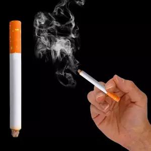 모형 배우 연기나는가짜담배 소품 트릭 가짜담배 연극