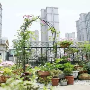 철제 정원 장미아치 넝쿨지지대 가든 터널 대문