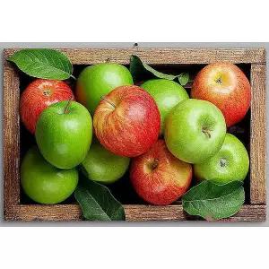 아크릴액자 집들이 주방 과일 청사과 사과 거실 대형 금전운 정물 사무실 풍수인테리어 사진 침실 개업bcd4