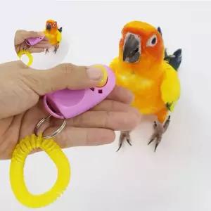 앵무새 주의집중 장난갑 클릭커 훈련 조류훈련 장난감