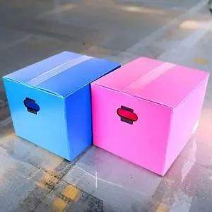 피피박스(왕대) DY-313 이사70x단프라 단프라 피피 PP PP수납 플라스틱 사무실 대형 포장 상자 문서정리함