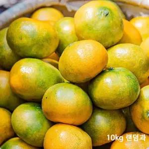 제주감귤10키로 랜덤과 못난이 귤 조생 밀감 큰귤 한라봉 천혜향 제주향