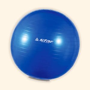 필라테스 대형 짐볼 임산부 밸런스 큰 요가볼 공 65cm