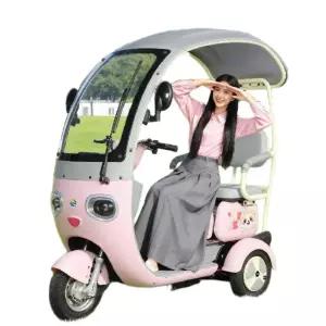 천장 덮개 전기 전동 스쿠터 방수 장식 하수관 여성용 3륜 전동차
