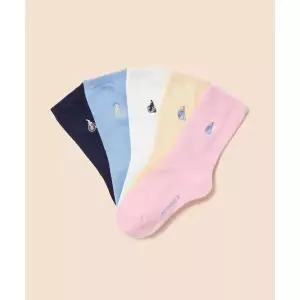 빈폴 키즈 BEANPOLE KIDS 베이직 스프링 양말 5족 SET - 라이트 핑크 (BI62KTU04Y)