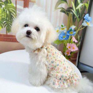 플라워 프릴 강아지 원피스 댕댕이옷 반려동물옷