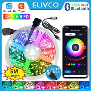 Tuya 블루투스 스마트 Led 스트립 조명 RGB 2835 5V USB 스마트 라이프 App 제어 데스크탑 화면 TV 백라이트 유연한 다이오드 테이프