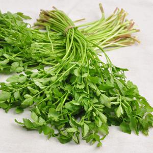 국내산 미나리 1KG 내외