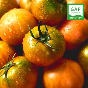 [26년 첫 출고] GAP인증 부산 대저 토마토 2.5kg 정품 짭짤이 / 찰토마토
