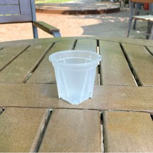 가네야 투명 슬릿 원형 화분 EU8.다육이 분갈이 실내 미니 플라스틱 소형 분.