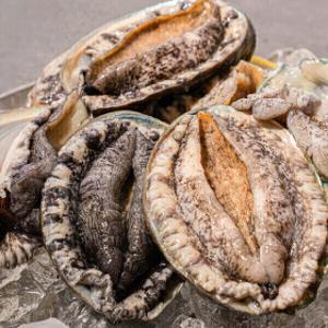 (신선집중) 완도맘 완도 활 전복 1kg (10-12미)특대전복 사은품 세척솔 증정