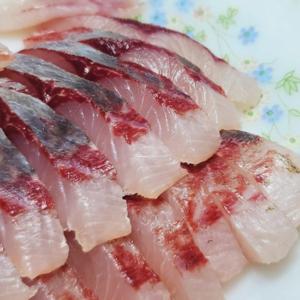 밀치 밀치회 가숭어 필렛 350g (손질전 1kg 내외)